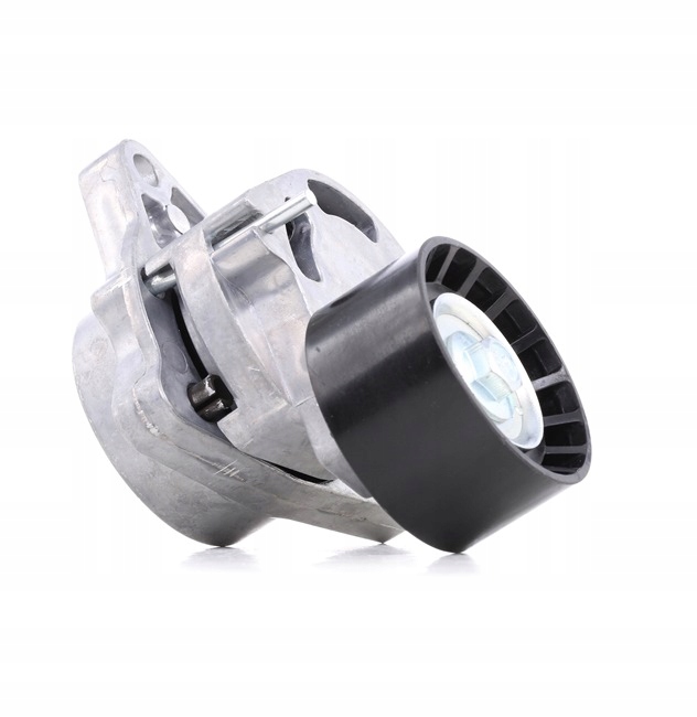 Ridex 310t0062 ролик натягувача ремінь клиновий багатореберний do volvo fmx Доставка