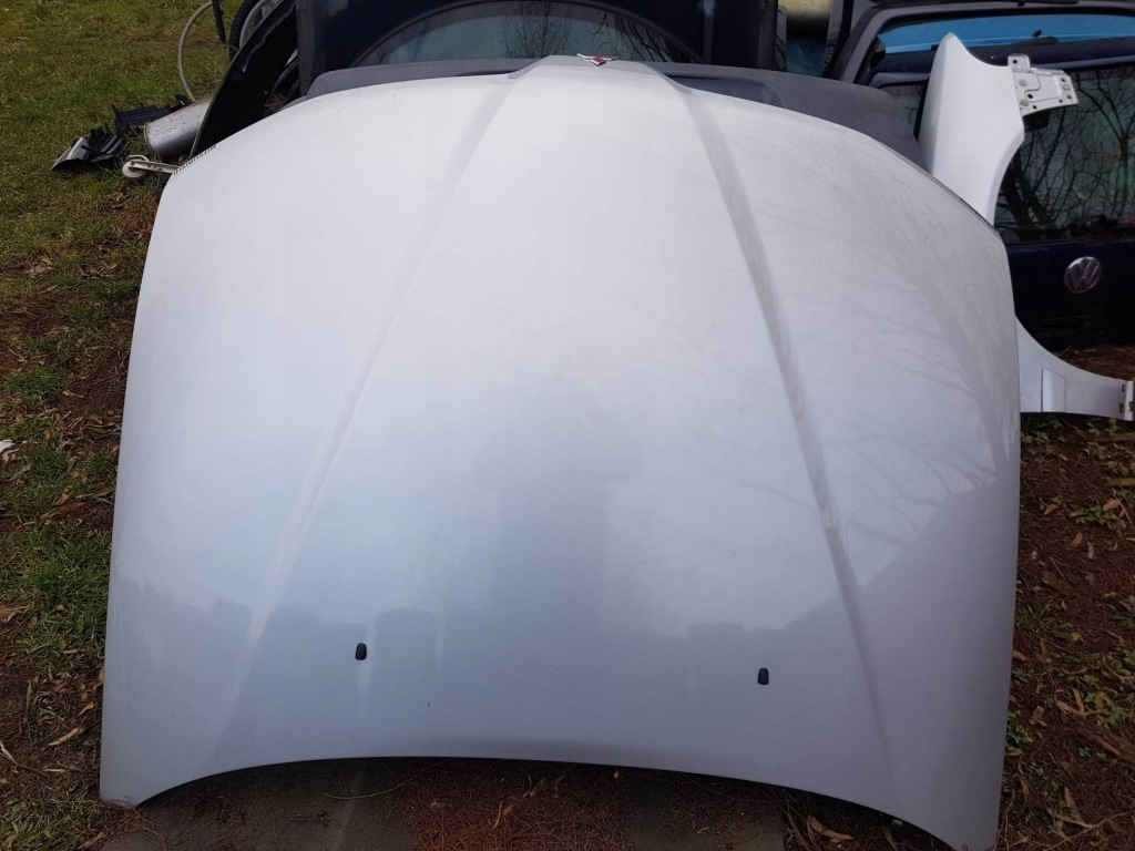фото №1, Капот mitsubishi carisma lift a50