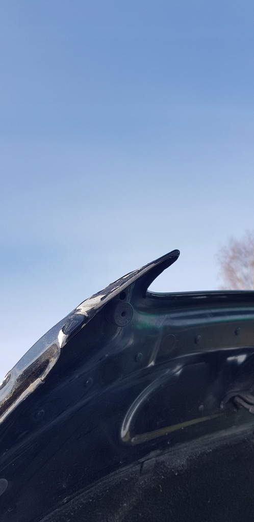 фото №4, Капот audi a6 c6 4f0 ly9b