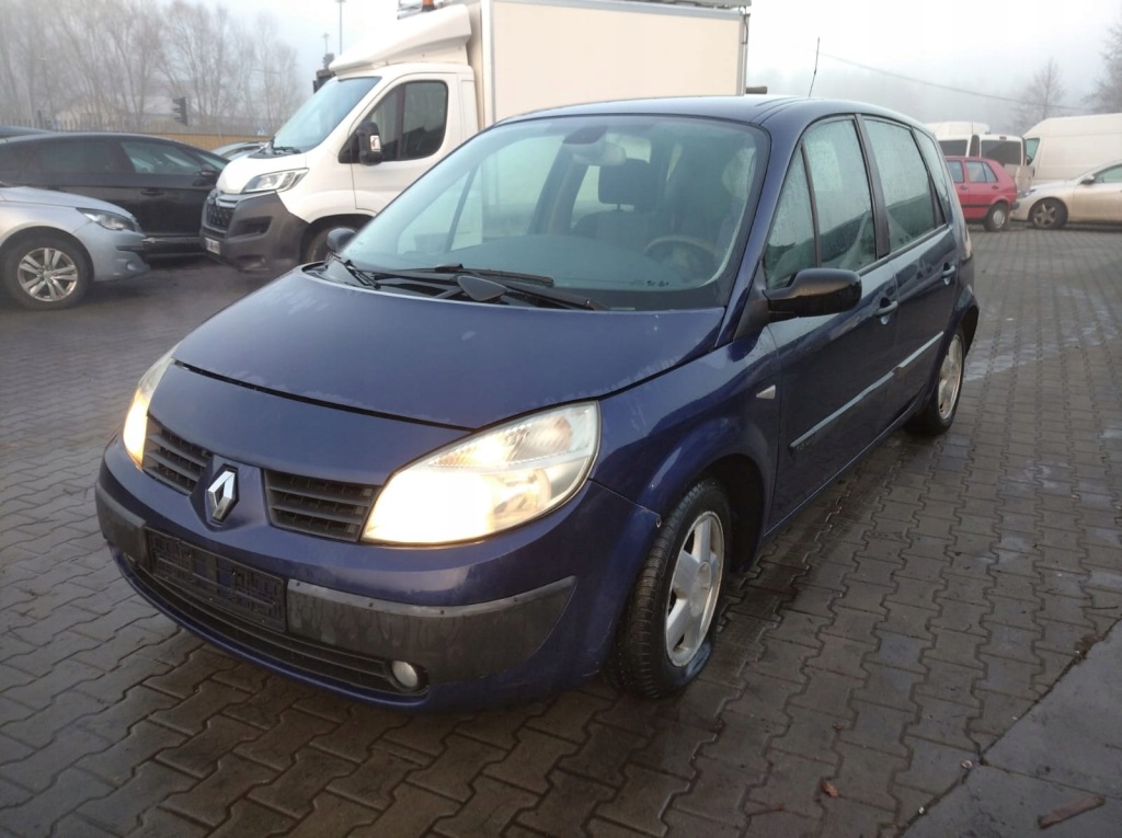 фото №1, Renault scenic 2 ii 03- двері ліва задня задні tef43