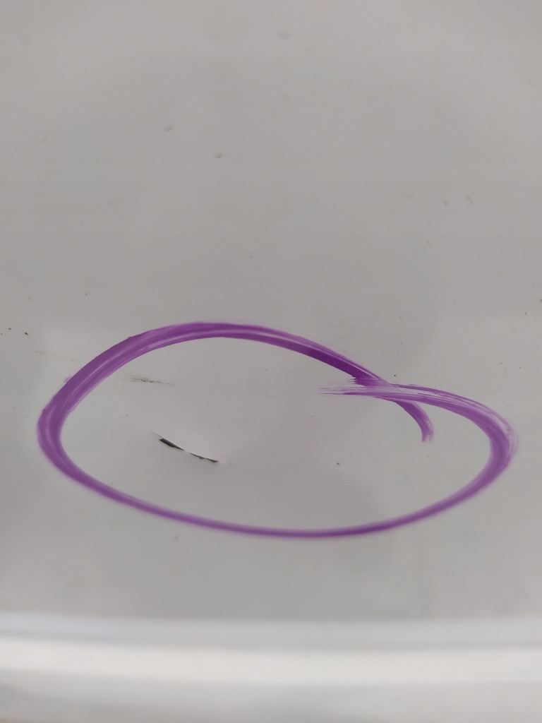 фото №5, Ford transit connect mk2 двері furtki лівий задня