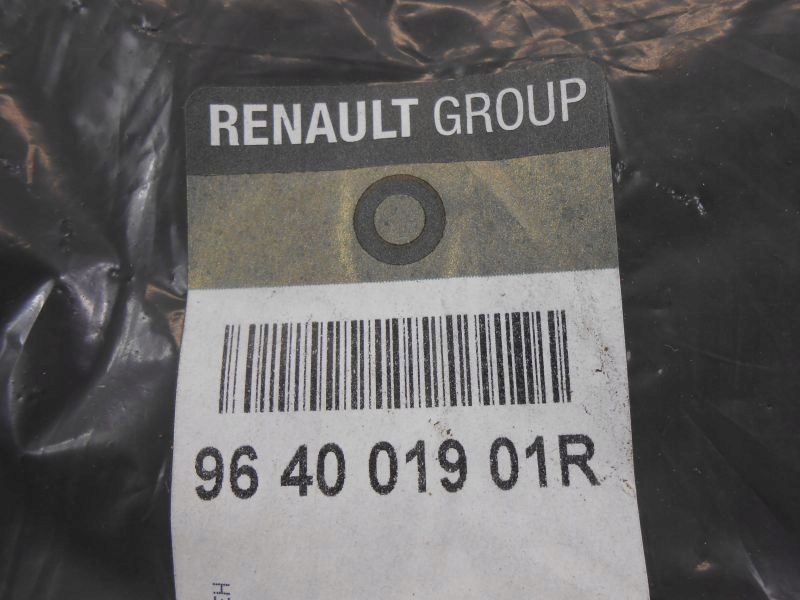 фото №9, Duster i защита солнцезащитная правая