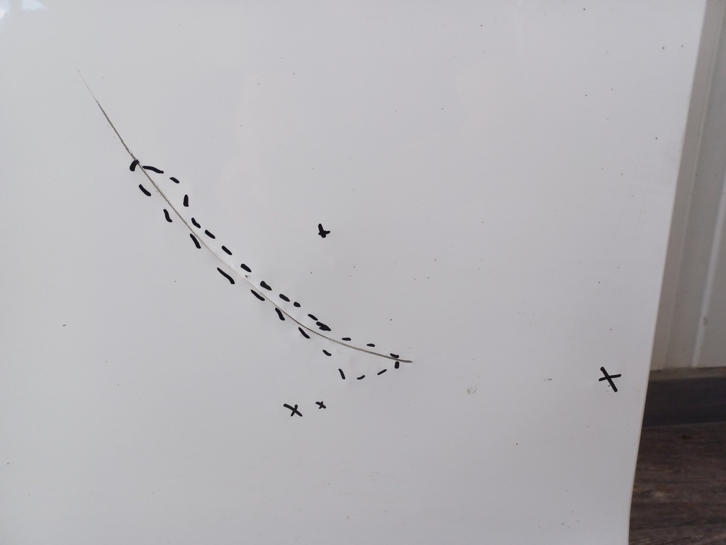 фото №14, Двері kia picanto iii od 2017- передні ліва