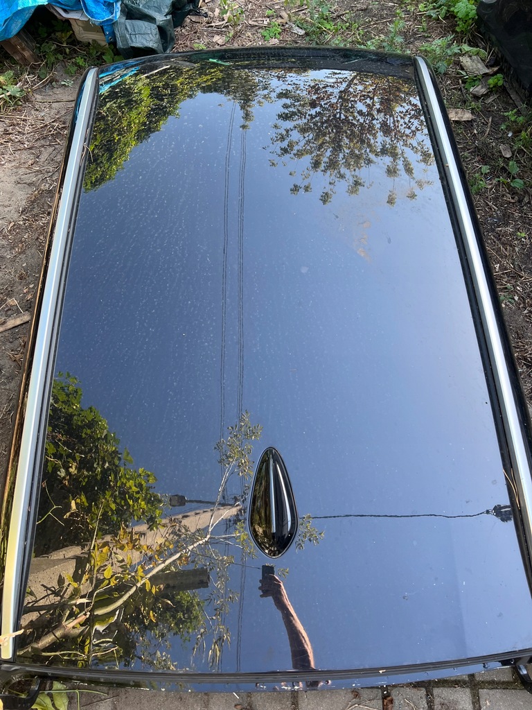 фото №1, Bmw x3 g01 дах обшивка дах