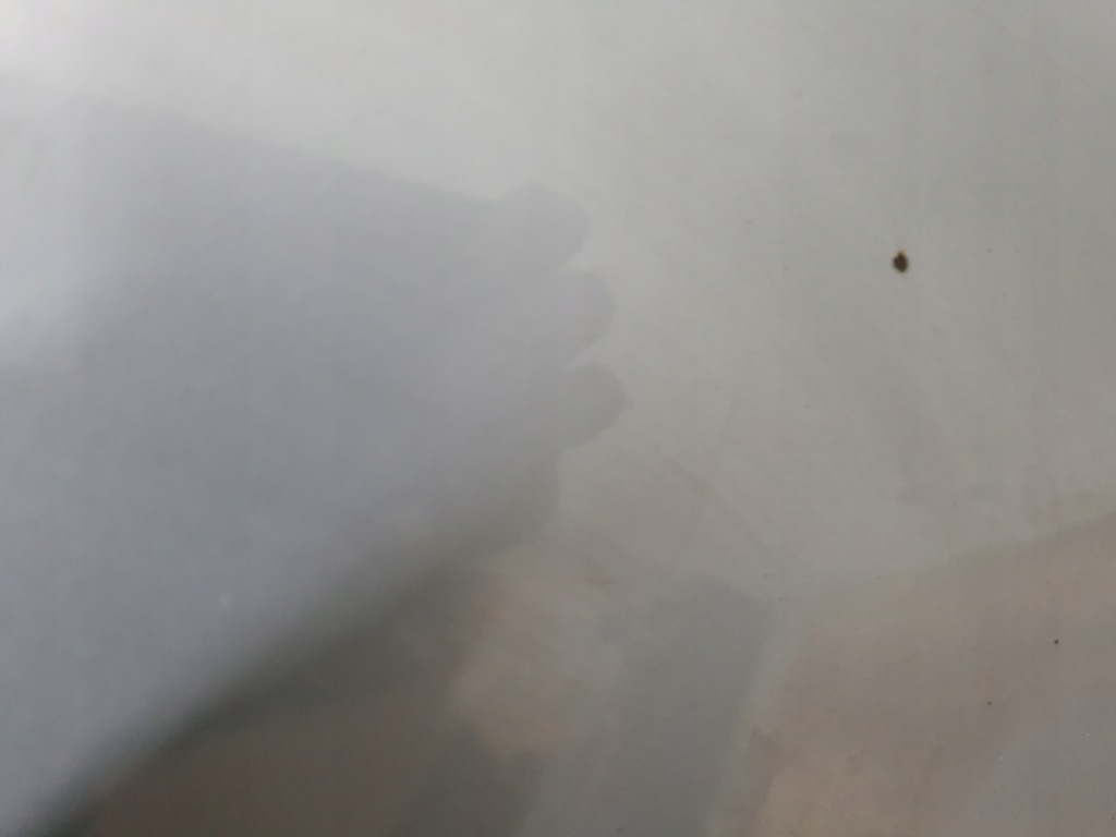 фото №10, Капот ford c-max d1