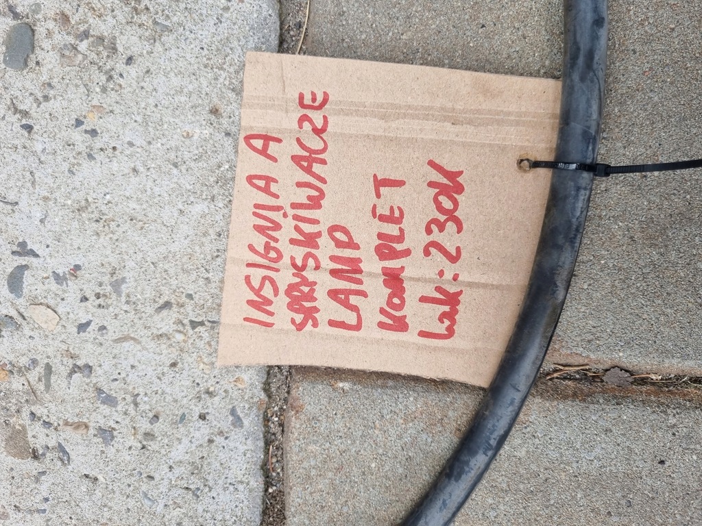 фото №11, Opel insignia-a омивачі лампа лівий правий