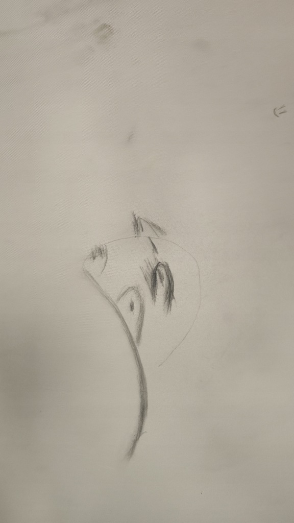 фото №5, Стеля hyundai santa fe iii grand