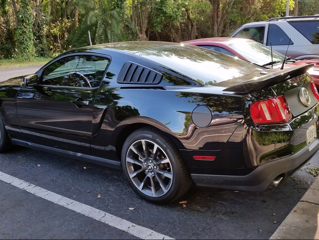 фото №15, Жабри накладки na скло ford mustang 2010-2014