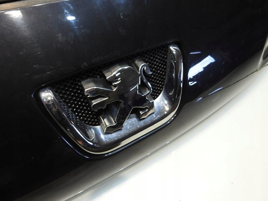 фото №8, Решётка радиатора решётка радиатора exld peugeot 1007 9646173877