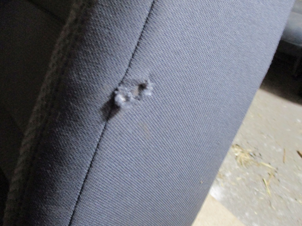 фото №10, Сиденье правый перед vw golf v