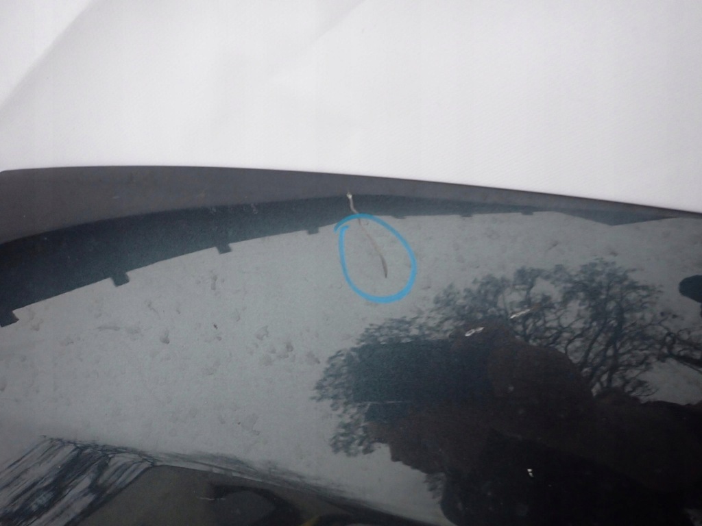 фото №10, Капот x5 g05 x6 g06 18- капот кришка двигуна