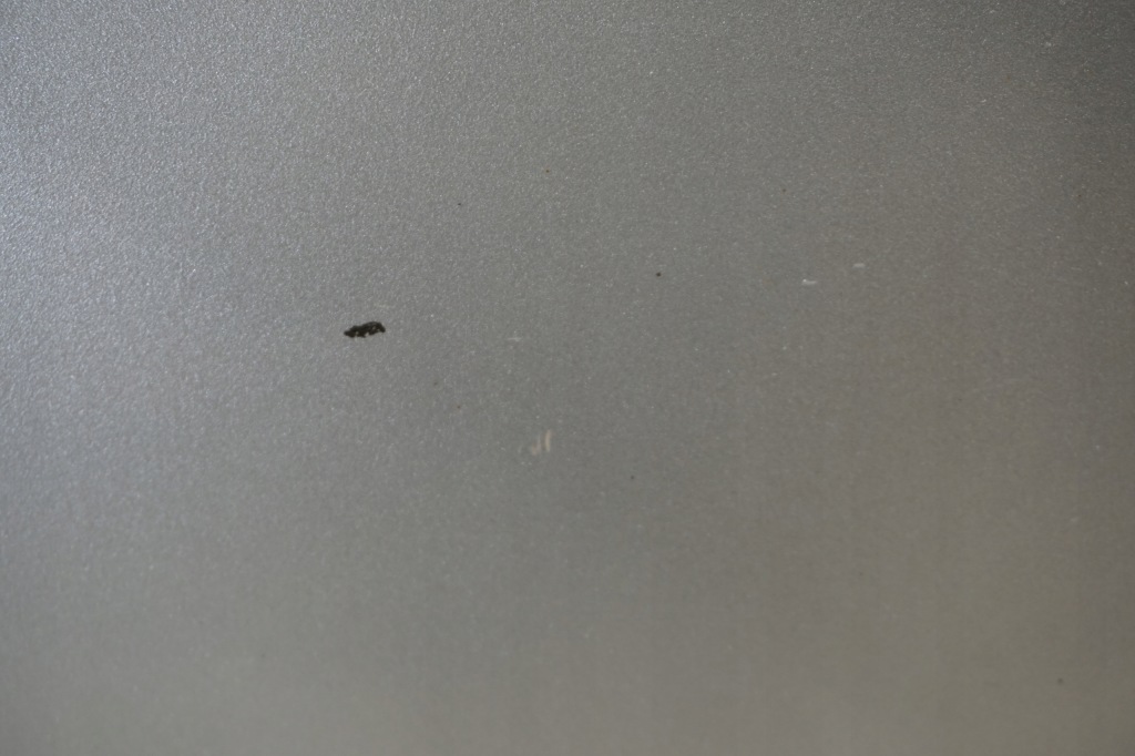 фото №6, Kia sportage iii дверь правый задняя задние 9s