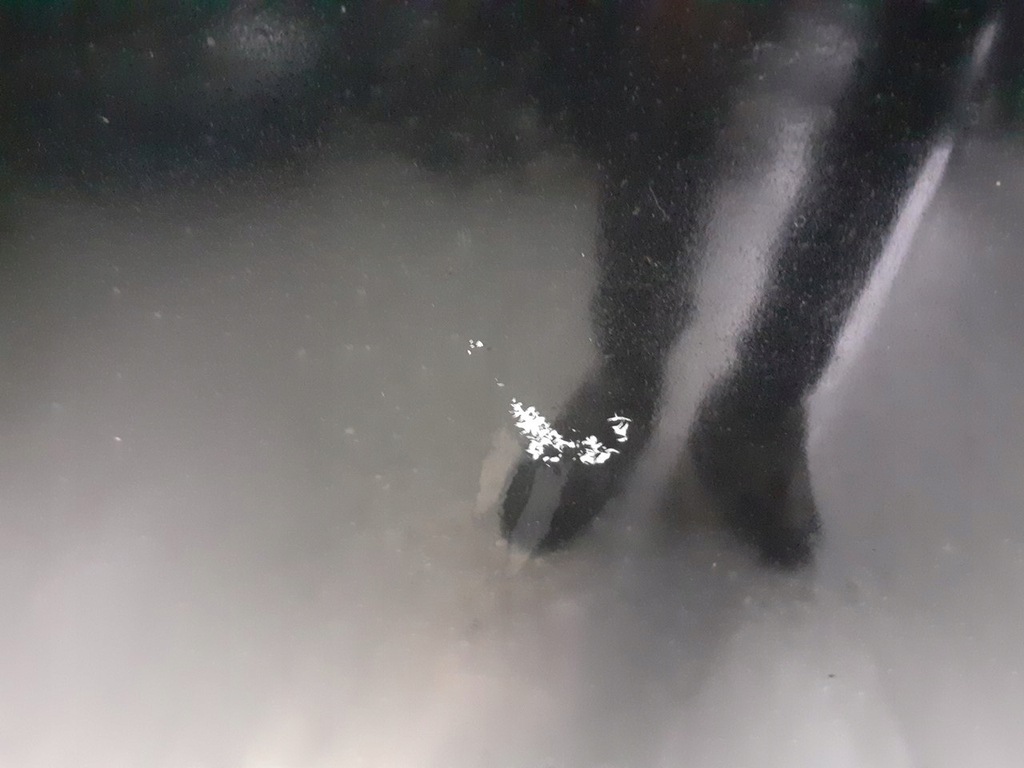 фото №6, Капот mazda premacy 16w