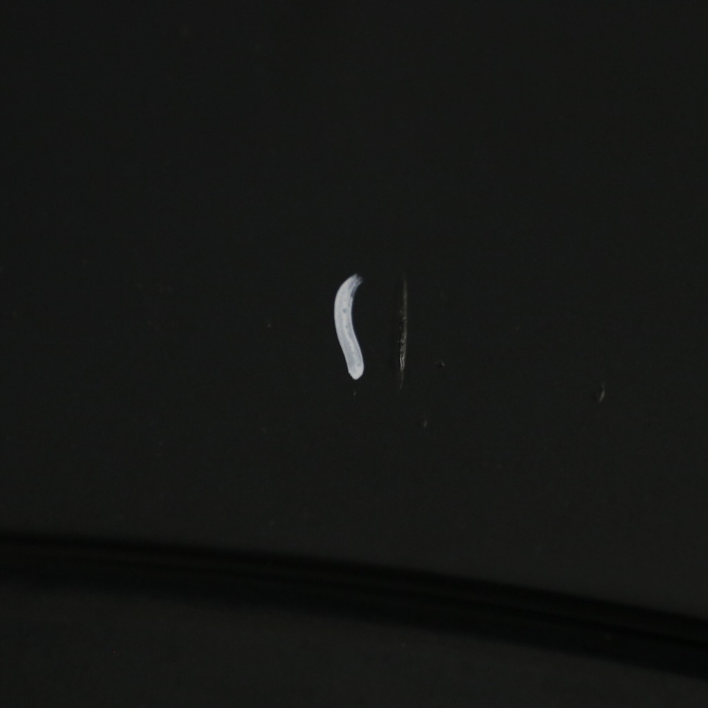 фото №12, Mini countryman r60 дверь левый задняя absolute black