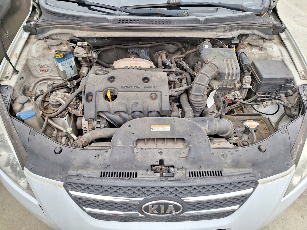 фото №12, Kia ceed 1 i ed скло задня кришка багажника кришка багажника білий wd cee'd 5d hb