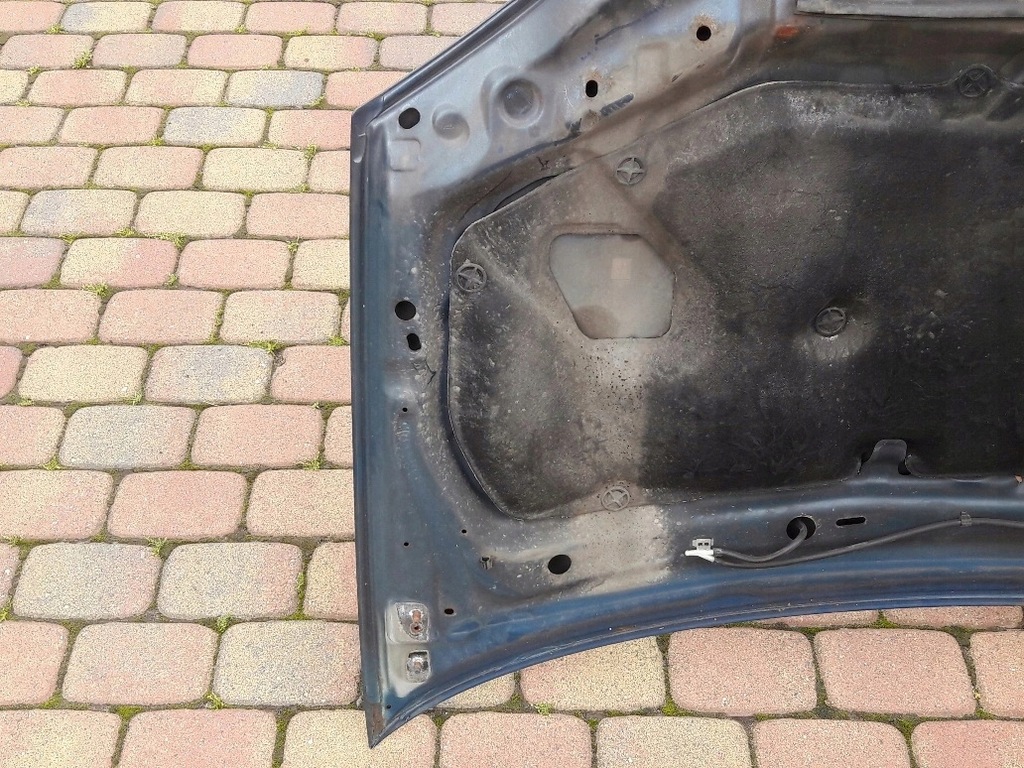 фото №10, Almera tino капот подкрылок перед 00-06 bt3x379