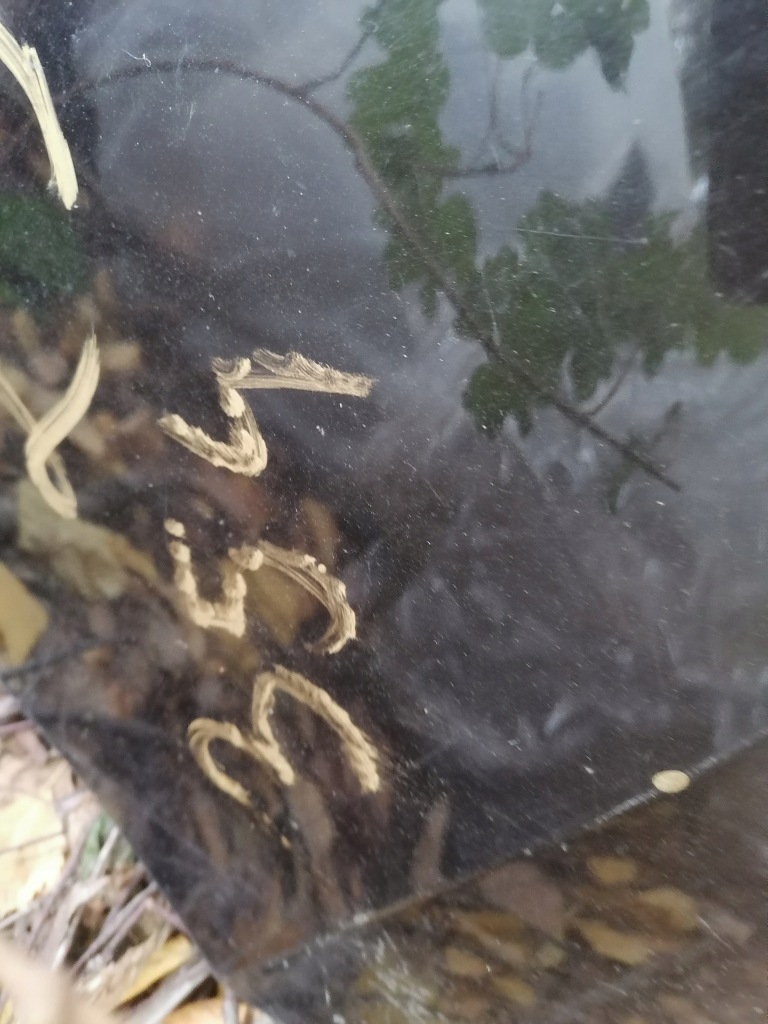 фото №6, Бампер задня bmw 1 f20 11-14 7240918