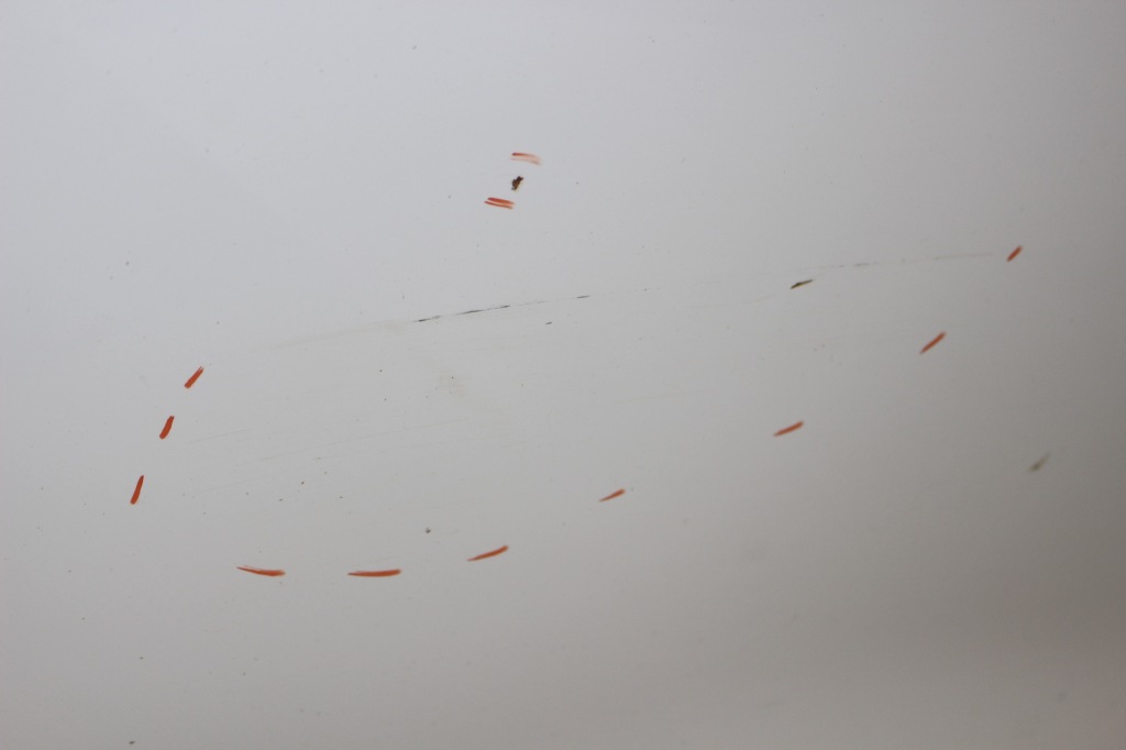 фото №8, Дверь правый задняя bmw x3 f25 a300 alpinweiss