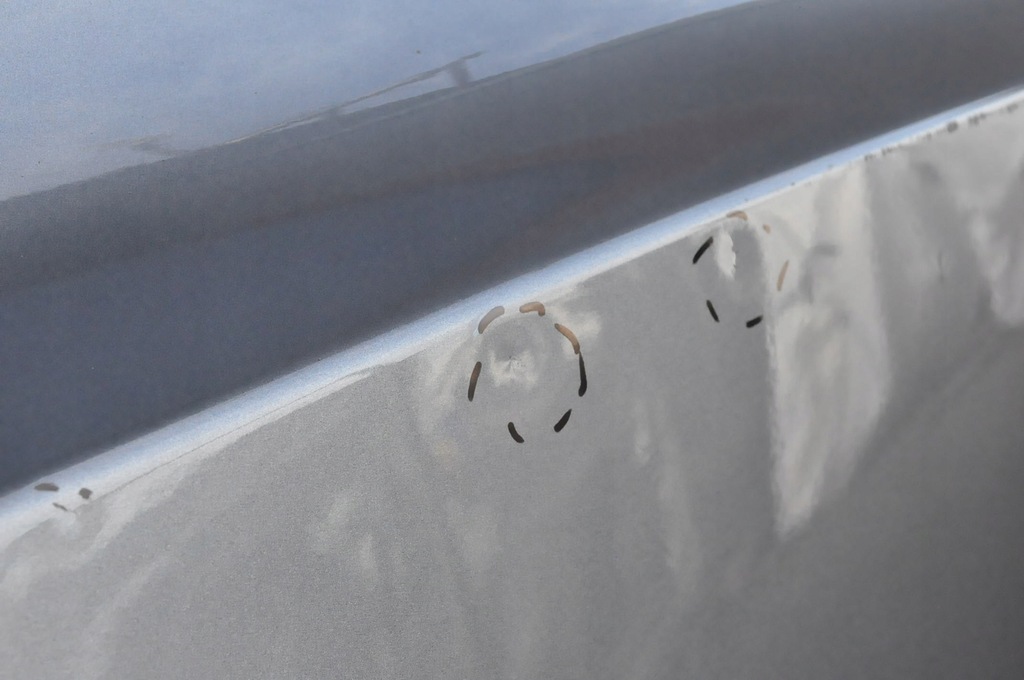 фото №13, Nissan juke f16 двері правий задня задні kadg