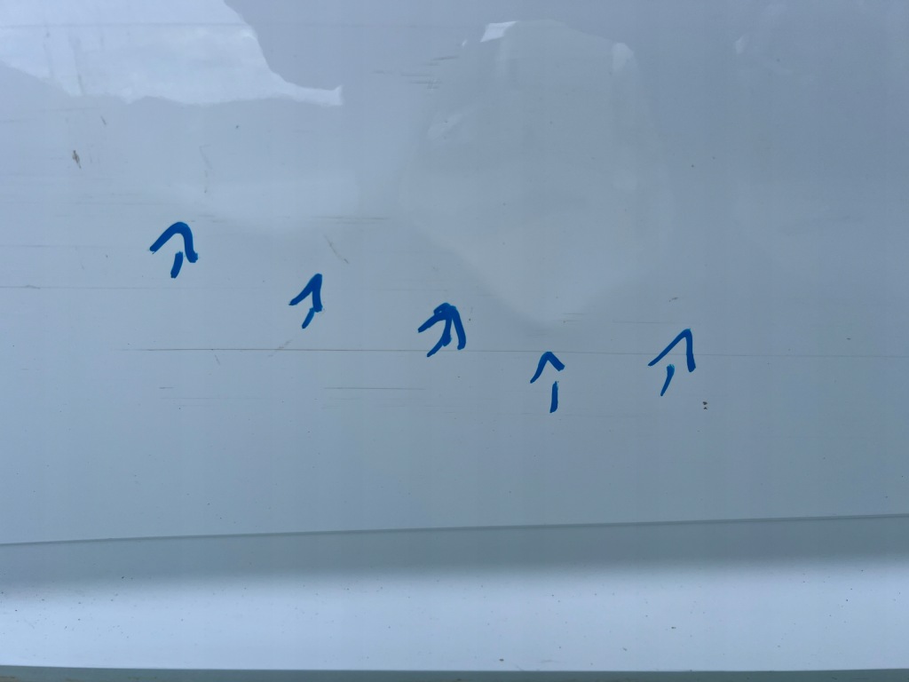 фото №8, Audi a5 ii 8w8 sportback 16-24 двері ліва передні лівий перед