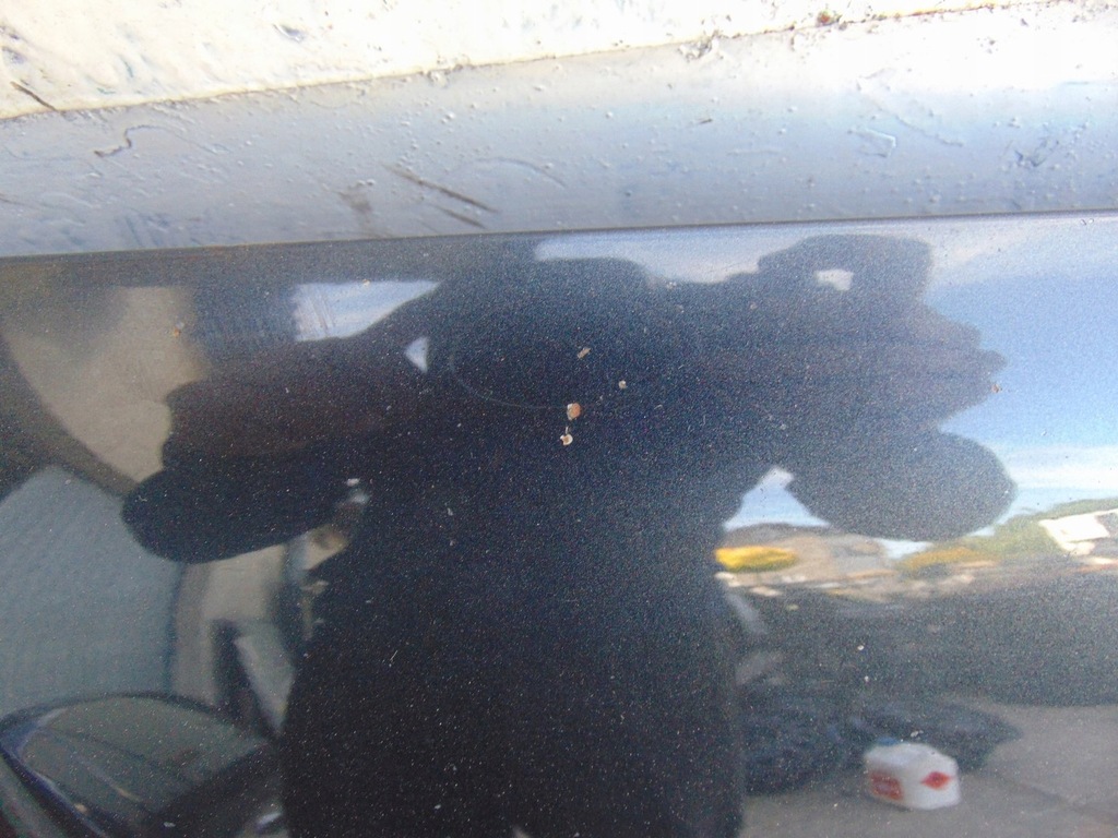 фото №10, Капот крышка двигателя toyota rav4 iii цвет 1e0 демонтаж