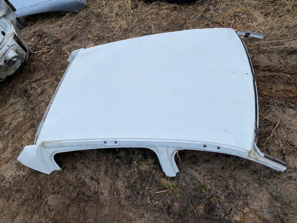 фото №5, Крыша dacia sandero i