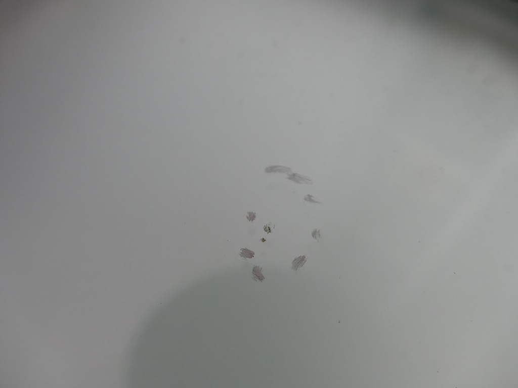 фото №11, Jeep cherokee kj lift скло лобове передня перед