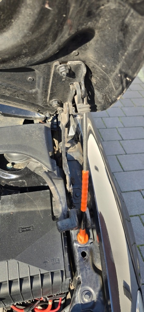 фото №1, Петля капот правий лівий vw golf 5 plus 2003-2009 колір lc9z