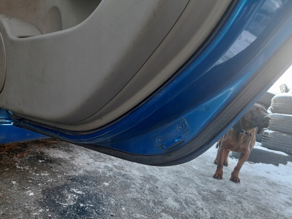 фото №11, Renault scenic ii дверь правый задняя правое задние tei45