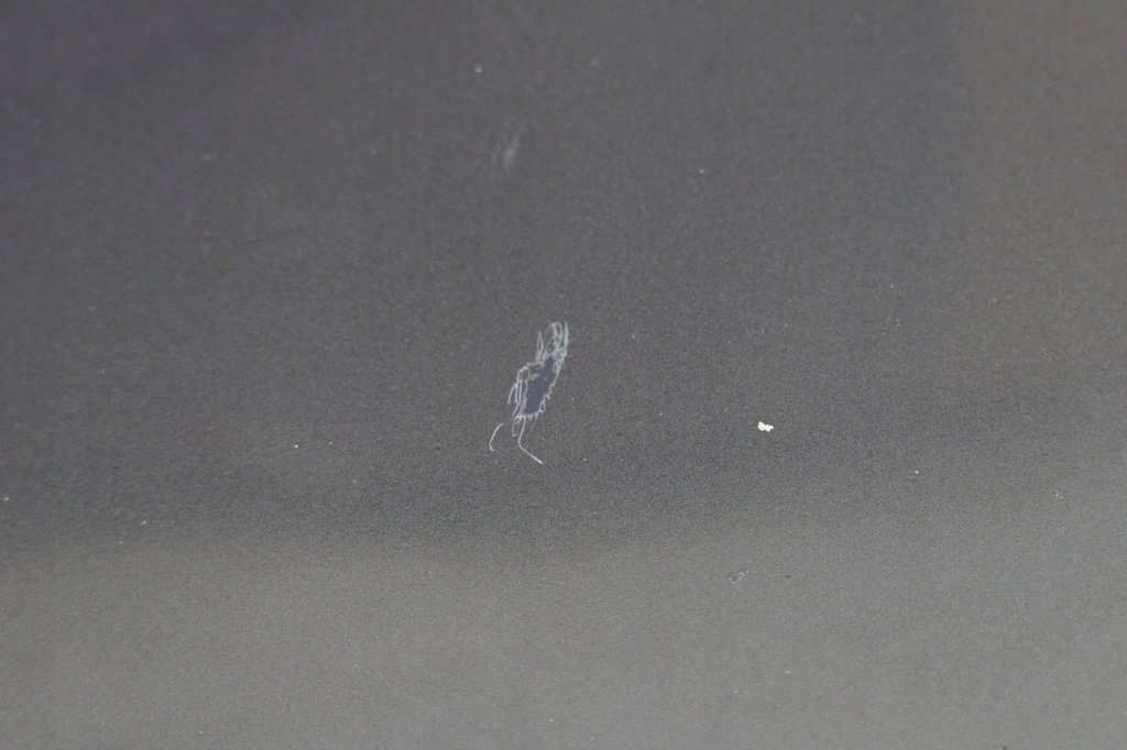 фото №10, Двері правий задня hyundai i40 kombi t6s