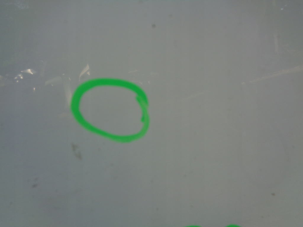 фото №9, Двері ліва renault megane 3 iii coupe ov369