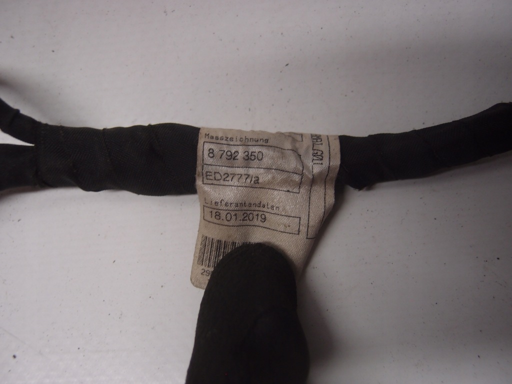 фото №9, Жгут электропроводка дверь правый перед bmw x3 g01 8792350