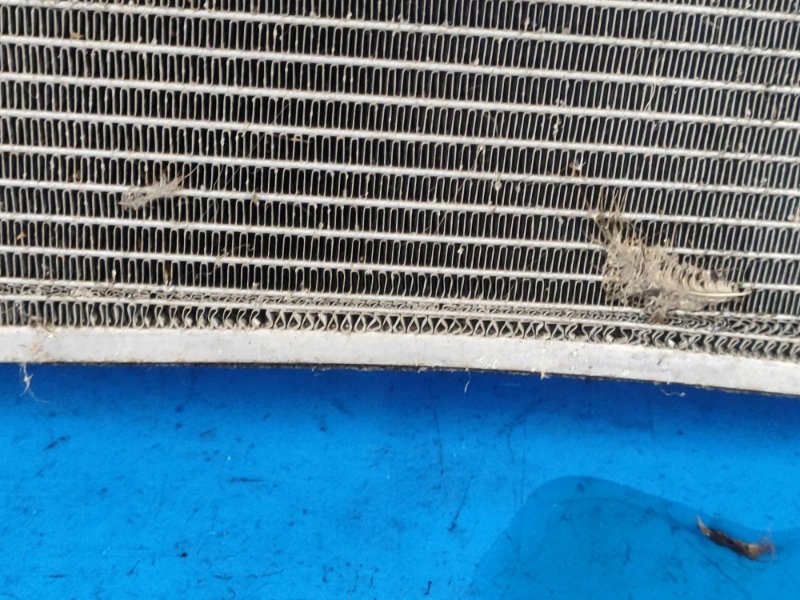 Радіатор двигуна головна 214606ra5a nissan x-trail t33 20- Зі Шроту