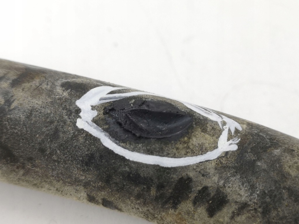 фото №5, Nissan qashqai 2007 шланг / вентиляція картера вентиляції