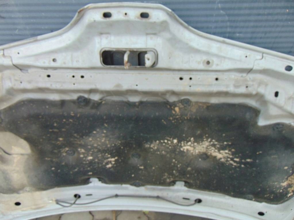 фото №9, Nissan almera tino 2002r капот кришка двигуна