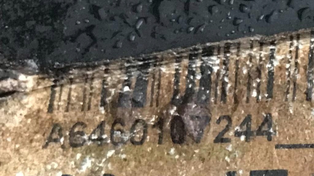 фото №13, Двигатель mercedes 646811 w204 w211 2.2 cdi 136km 6460107244