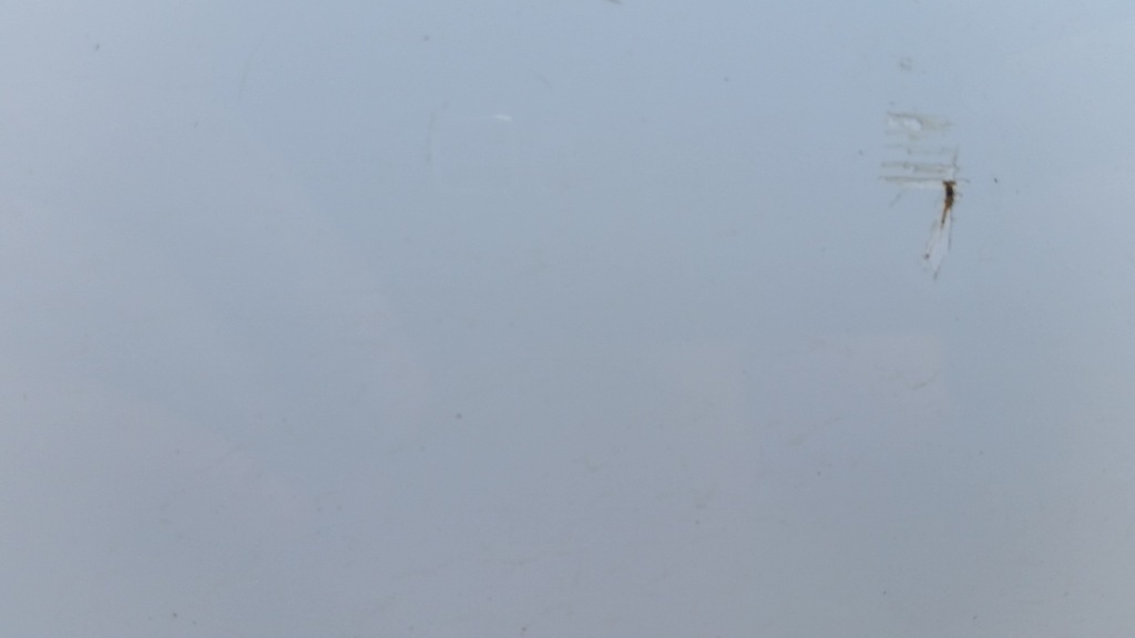 фото №13, Двері задня праве/ліве suzuki swift mk6 04-10