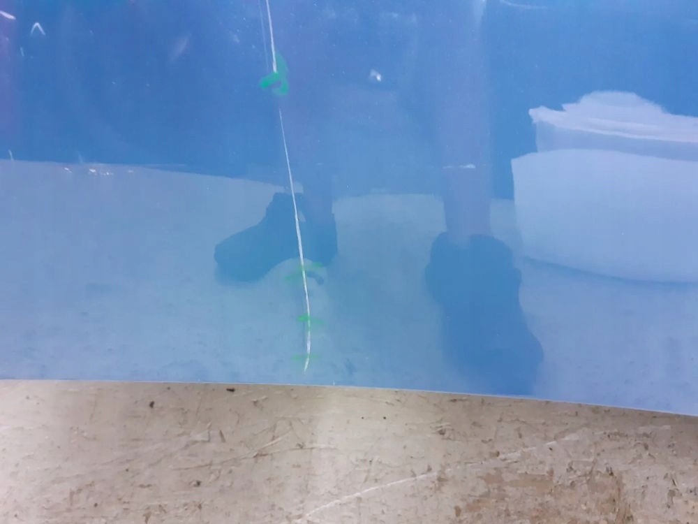 фото №6, Капот renault zoe lift 2018-