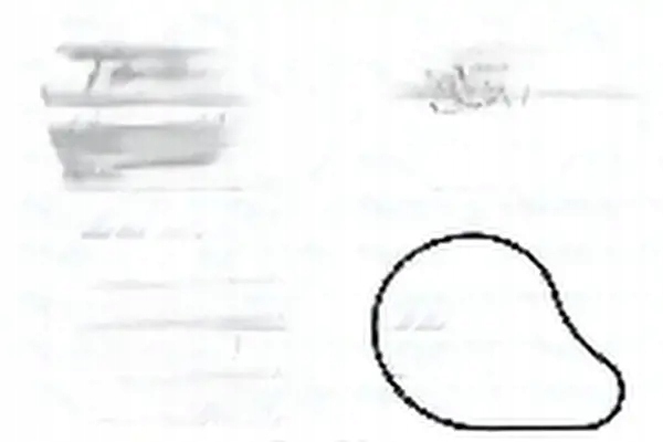 фото №1, Насос wody t265 dolz lexus toyota gs is nx rav 4