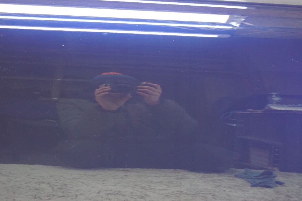 фото №6, Porsche boxster 986 дверь левая перед