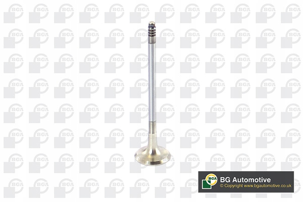 фото №1, Клапаны впускные i выпускные bga v090101