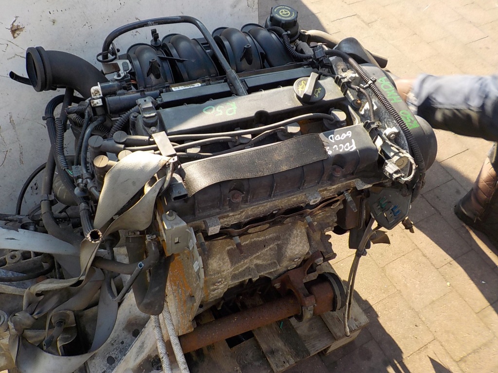 Ford c-max focus 2 mk2 1.6 16v hxda двигун комплектний  film Київ