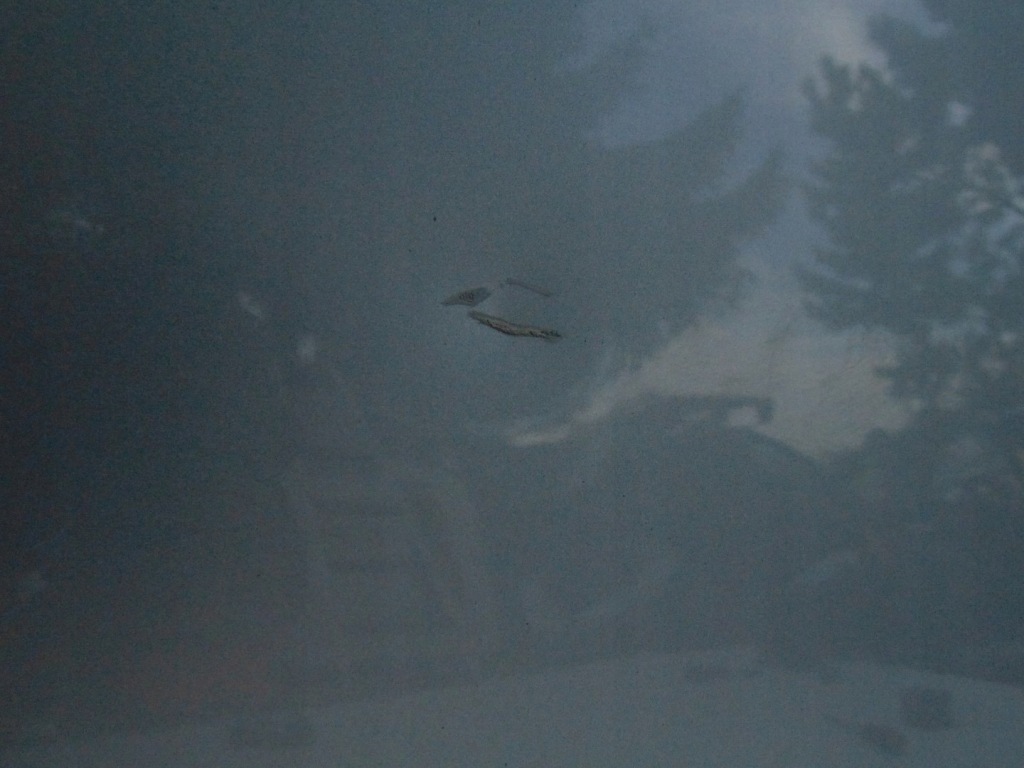 Капот крышка двигателя audi a6 c6 4f ly7w 04-12r с Разборки