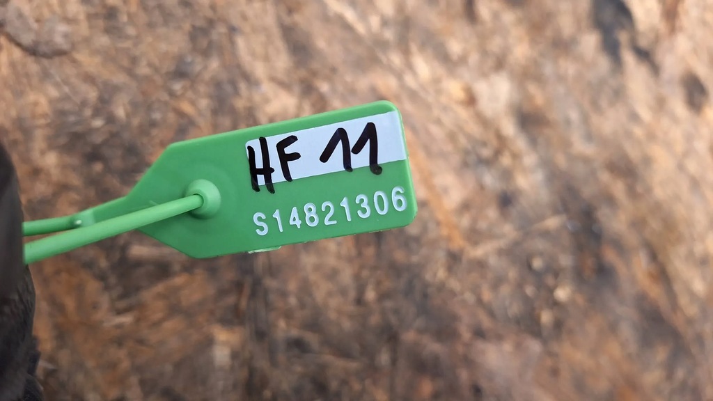 фото №6, Интеркулер bv61-9l440-ck ford tourneo connect mk2 focus mk3 1.5 tdci