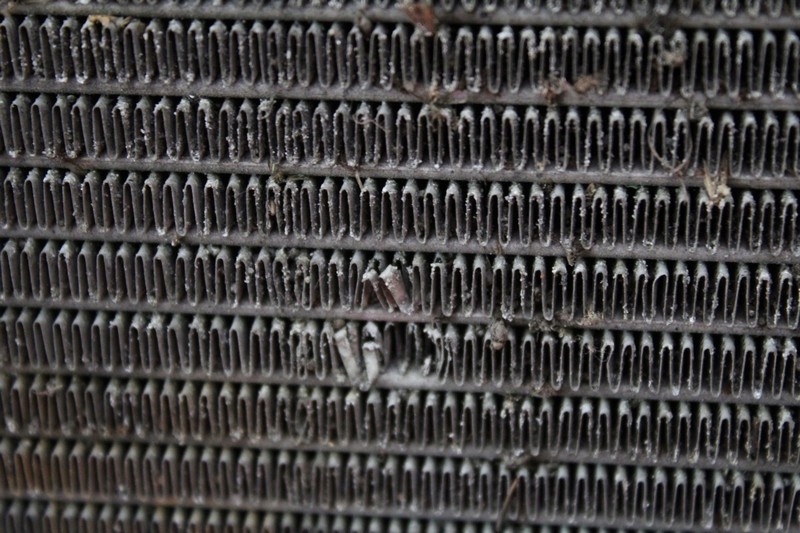 Радиатор воды seat leon 1 1 1.4 16v 99-05 Недорого