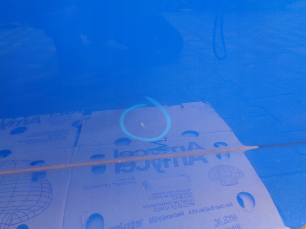 фото №2, Skoda fabia ii дверь правое передние 4590