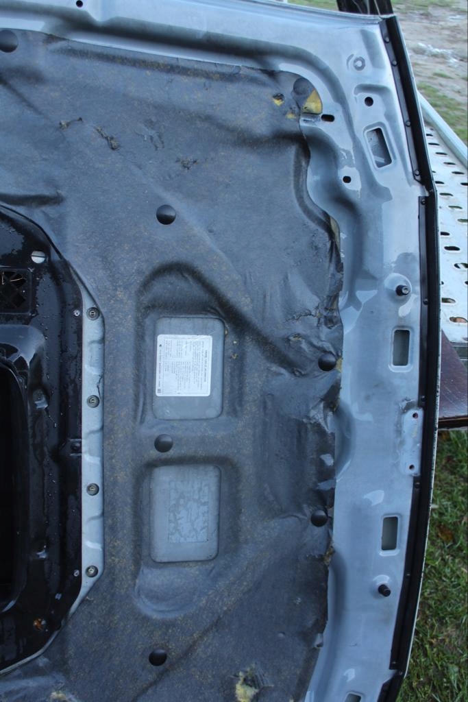 фото №7, Капот крышка двигателя subaru forester i sf