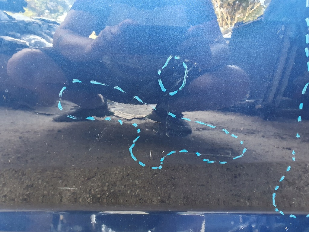 фото №4, Дверь перед левая ford focus mk3