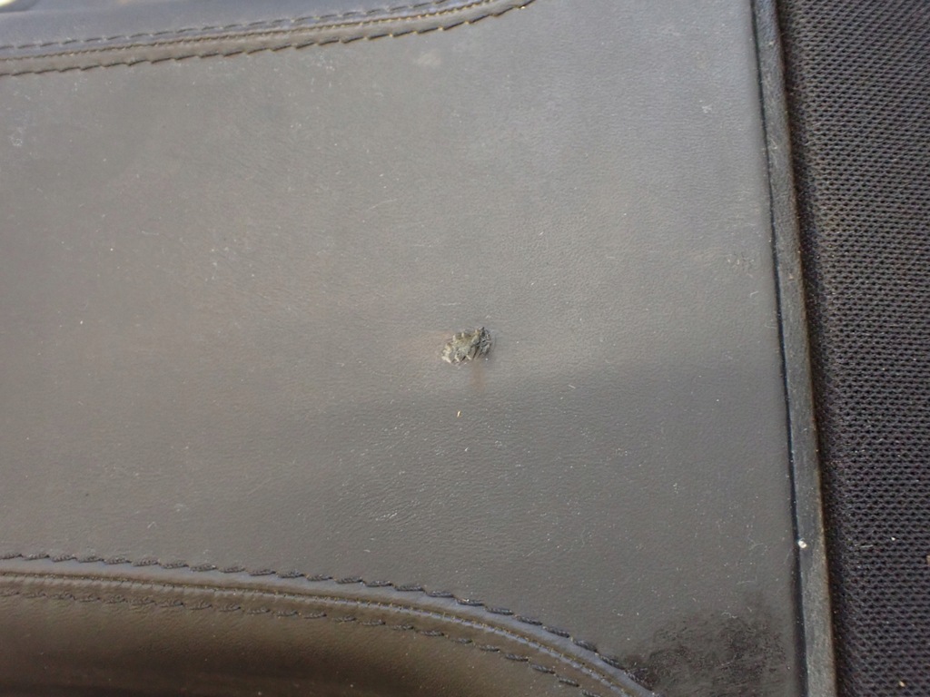 фото №6, Mercedes w221 s65 amg полиця задня designo