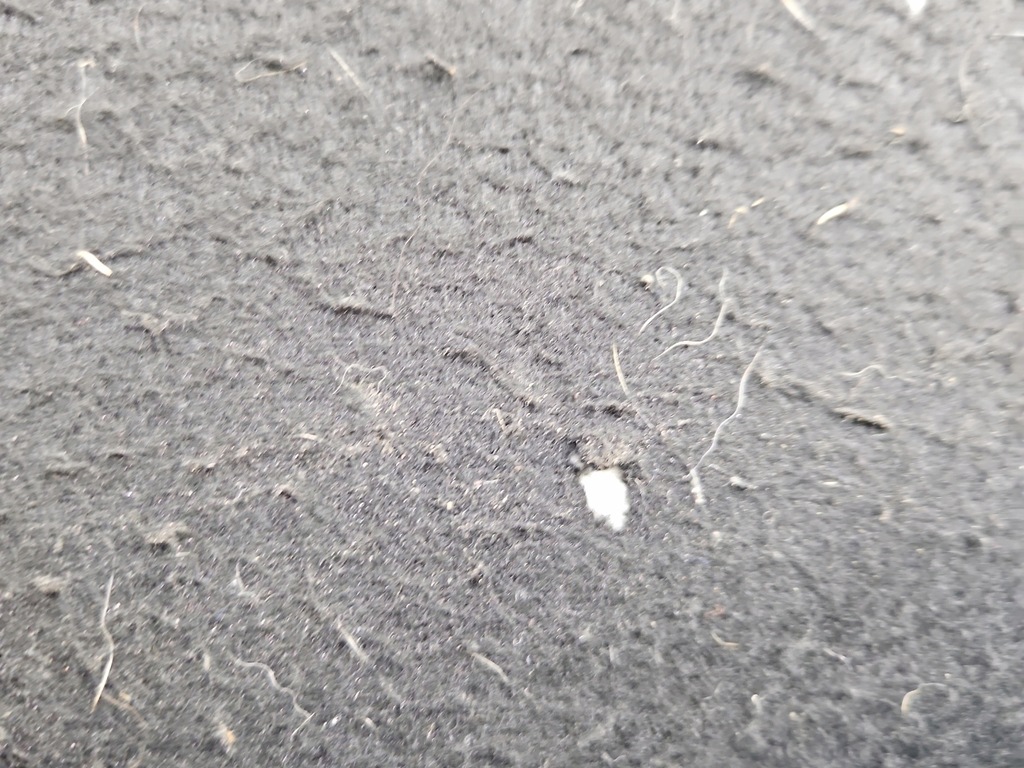 фото №9, Полиця задня задня багажника renault scenic iii